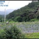 서후초등학교대흥분교장 이미지