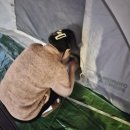 가오리 닭곰탕집 | 근황)뒤죽박죽 얼렁뚱땡이 조심