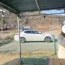 선산대로-17 이미지