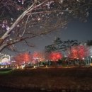 투썸플레이스장유