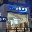 영동동물병원 이미지