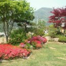 삼성전원공인중개사사무소 이미지