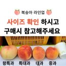 야물딱농산