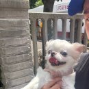 이소영동물병원 이미지