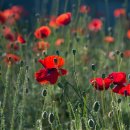 정확한행정사 이미지