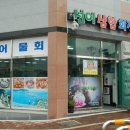 선어삼합회장님