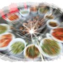 세나농장 이미지