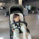 홍은카센타 | 알쏭달쏭 했던 오늘