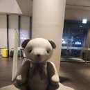 (주)호텔신라 제주신라 | 제주 공항 근처 시내 호텔 신라스테이 제주 후기