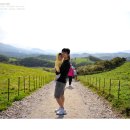 종일목장 이미지