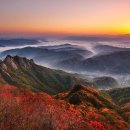 구봉산 티스토리