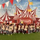 데이파크(1) 이미지