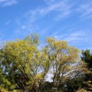 임당1동 이미지