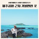 삼천1동-02(컴퓨터랜드 앞) | 제주시내 공항근처 가볼만한곳 당일치기 제주여행 코스 총정리