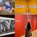 6시내고양이 | [마르크샤갈전] 2월 겨울데이트코스 고양놀거리 후기 - 무료 주차 시간 정보 / 굿즈샵 제품 정보