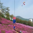 철쭉공원 이미지