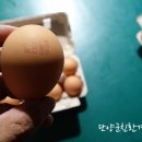 북벽 농장 이미지