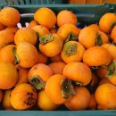 단감약국 이미지