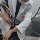 구로 끗한의원 | [구로 끗한의원] 참관후기