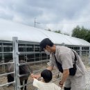 영춘농장 이미지