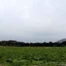 소들목장 이미지