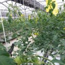 성원농장 이미지