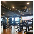 킹덤 휘트니스 이미지