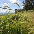 산중문답 이미지