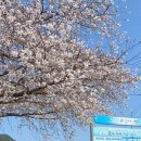 화개공인중개사사무소 이미지