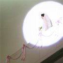 수원-0329 네이버블로그