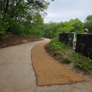 안성시현곡보건진료소 | 미리 본 안성 금광저수지 유채꽃 만발, 가슴 뻥 하늘 전망대