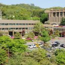 241-운정3-241 이미지