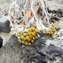 선화민박 이미지