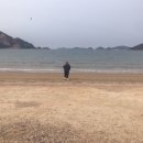 (주)평화알씨 | 욘의 데학꾜 후기^.^v잘들어주시와요.(빠른전개ㅋ)
