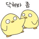 요거데이 네이버블로그
