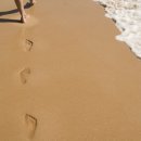 드림비치 이미지