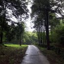 (주)정육감