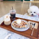 코코앤잭슨 이미지