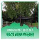 팽성레포츠공원 축구장 이미지