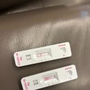 (주)제로쿨투어 | 안양 그랑베이 산후조리원 200프로 즐긴 후기(할인 방법, 분유, 남편 출입)