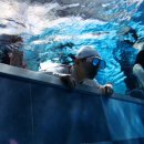 에브리(EVERY) | [딥스테이션 프리다이빙 번개] 에브리다이브 김현우 강사님과 함께한 물속 하루 후기