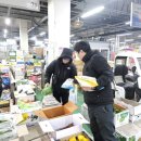 공판장유통 이미지