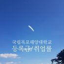 국립목포해양대학교 해양산업대학원 | 2025. 국립목포해양대학교, 목포해양대학교, 목포해양대 등록금 순위, 장학금, 취업률, 신입생 경쟁률...