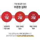 온리영뷰티 - 청주시 상당구 탑동로1번길 105 | 올리브영 링글스 애사비 캔디 후기｜고체 애사비 사과맛 내돈내산 직접 먹어본 솔직 리뷰