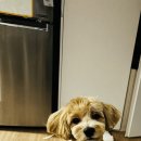 청평동물병원 이미지