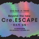 인헤어(in-hair) 이미지