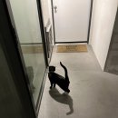 (주)엘에이케이