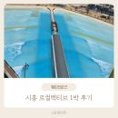 시흥 르컬렉티브 웨이브파크 프리미어 스위트 서프 야식 조식 수영장 후기