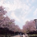 상미 당구장 네이버블로그