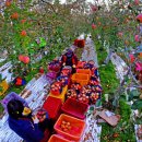 얼음골로 이미지